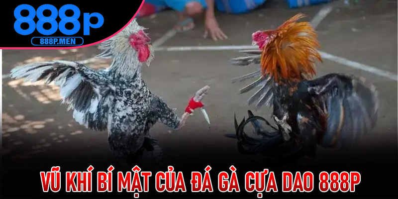 Vũ Khí Bí Mật Của Đá Gà Cựa Dao 888P