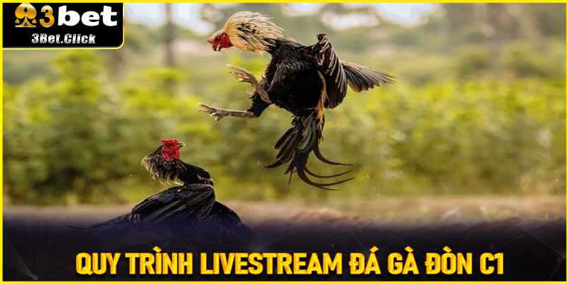 Quy Trình Livestream Đá Gà Đòn C1 Hôm Nay Trên 3bet
