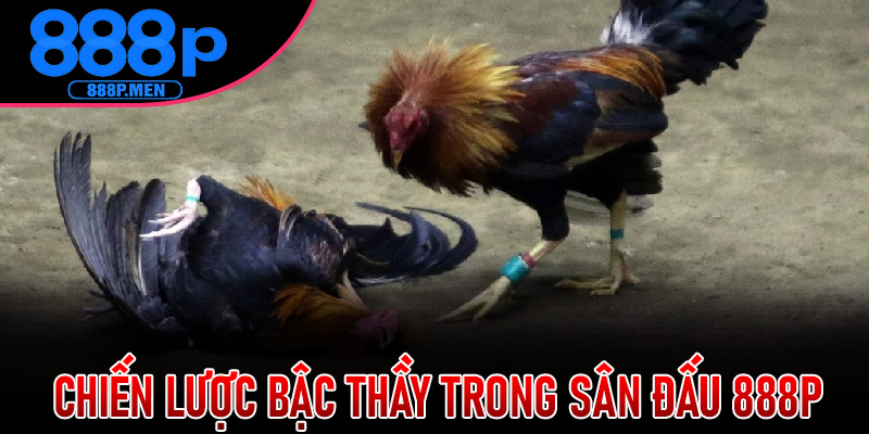 Chiến Lược Bậc Thầy Trong Sân Đấu 888P