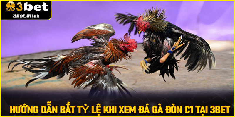 Hướng Dẫn Bắt Tỷ Lệ Khi Xem Đá Gà Đòn C1 Tại 3bet